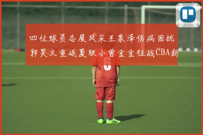 四位球员各展风采王泉泽伤病困扰郭昊文重返夏联小曾金金征战CBA新赛季