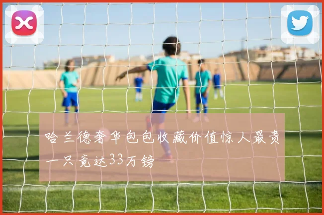 哈兰德奢华包包收藏价值惊人最贵一只竟达33万镑